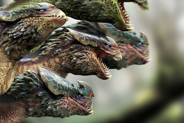 Kraken как найти ссылку