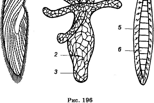 Kraken 23 at