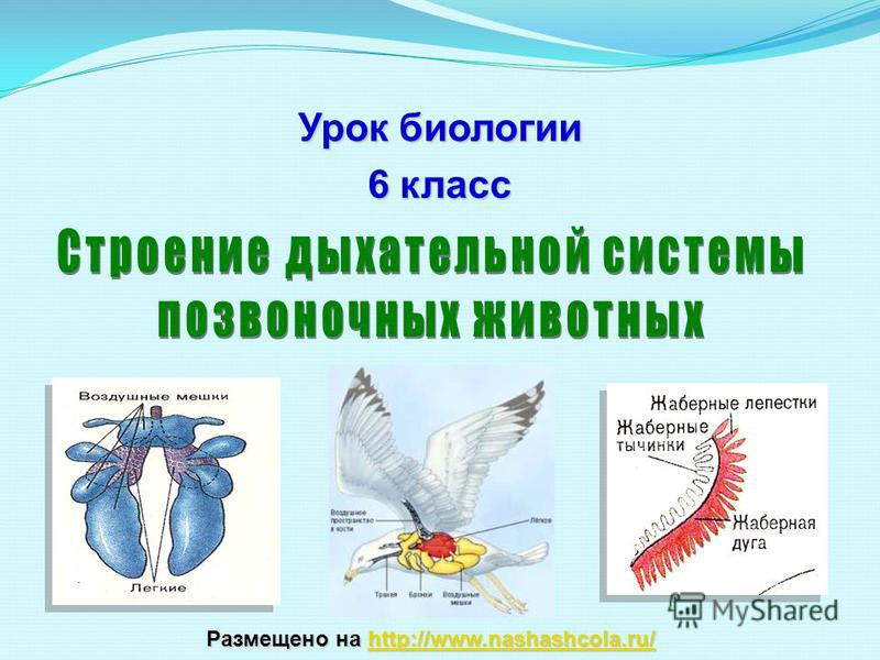 Вход на кракен зеркало